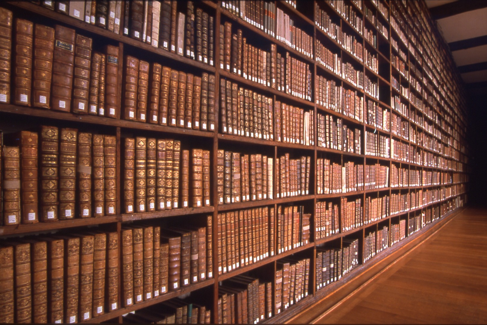 Bibliothèque2